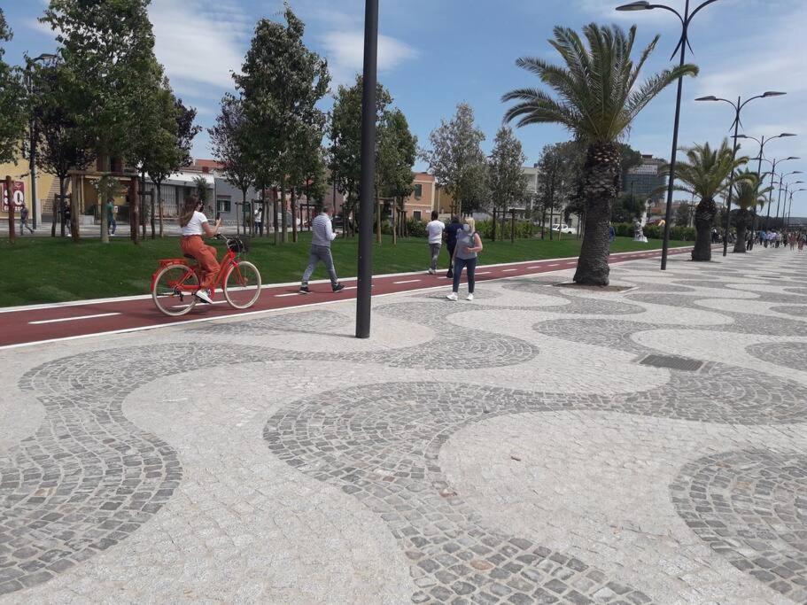 Oldbia Olbia